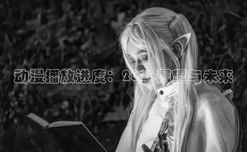 动漫播放进度：2026展望与未来